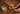 EGM Ninfas & Aged Cognac