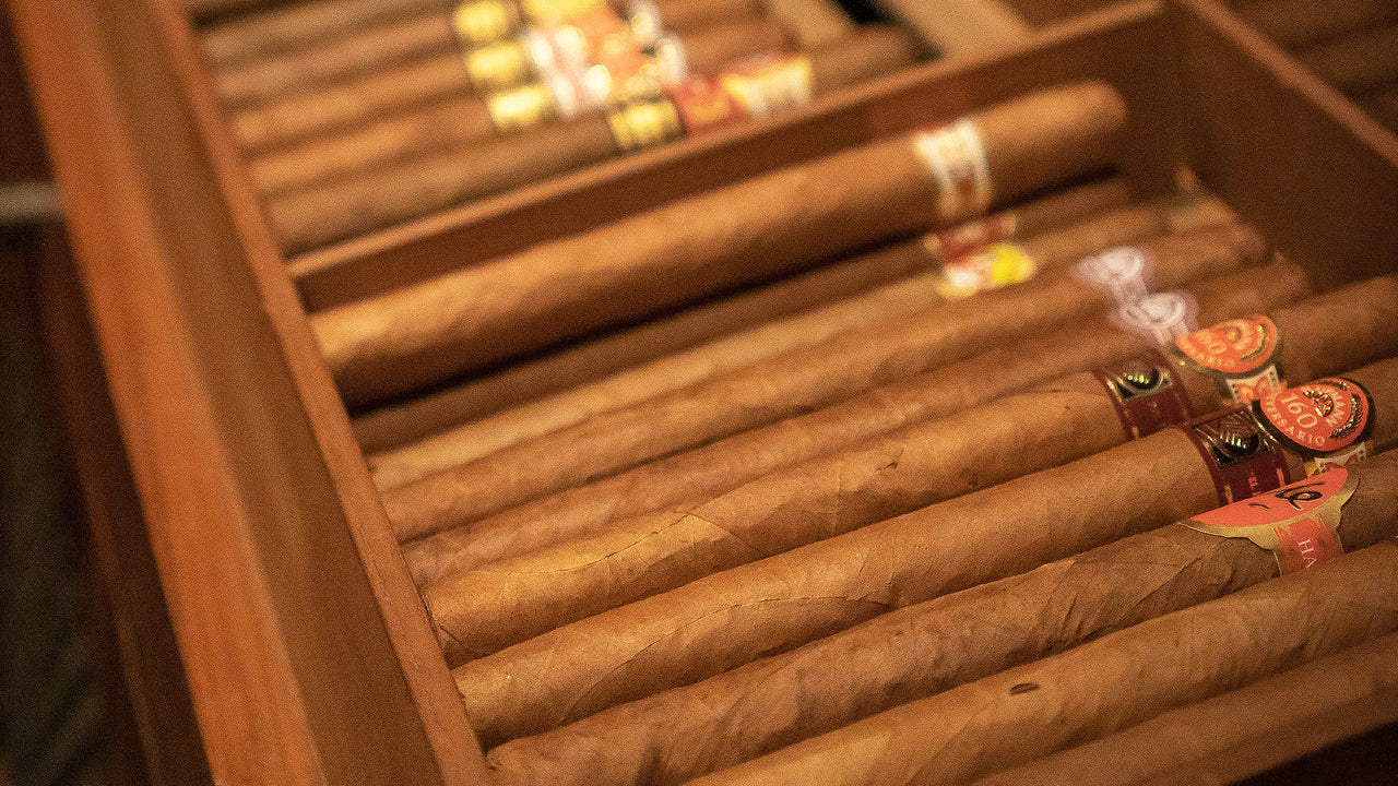 Can You Store Your Cigars Without a Humidor? EGM Cigars
